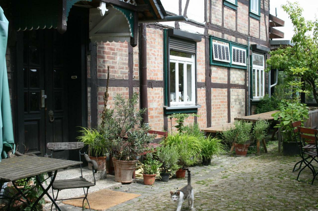 Apartments Café Brennnessel Veltheim Esterno foto